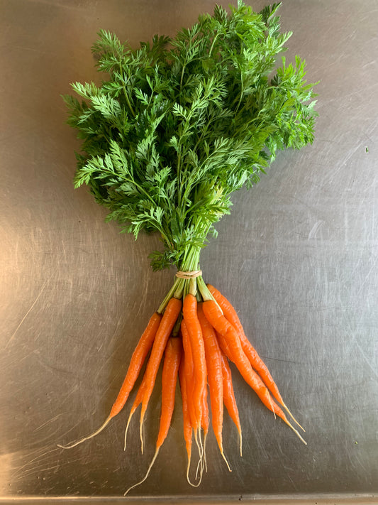 Carrots - 1  bunch
