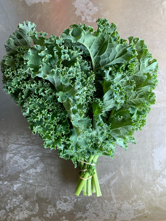 Green Curly Kale bunch