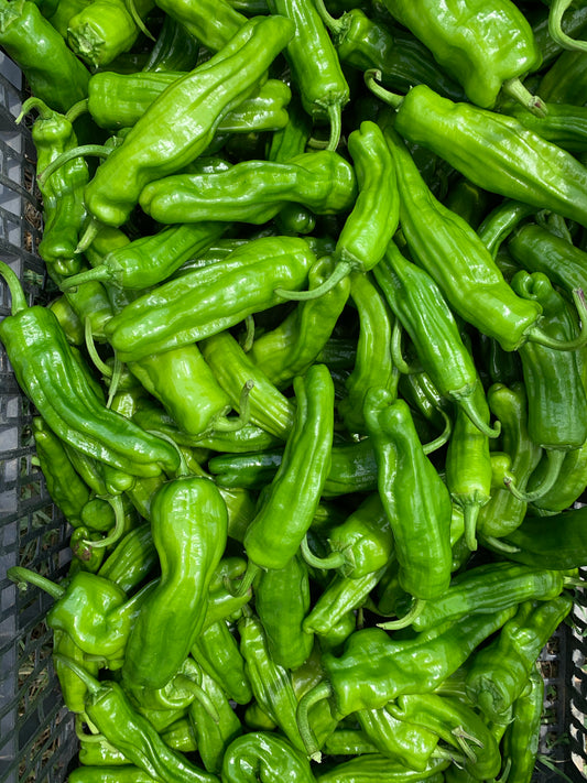 Peppers - Shishito pepper pint